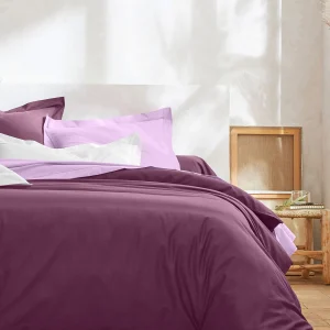 Colombine Linge De Lit Uni Polycoton 19