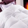 DODO Couette Duvet Oie Blanche Prestige Chambre Tempérée 13