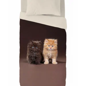 Blancheporte Couette Microfibre Duo Chatons 200 G/m² 9